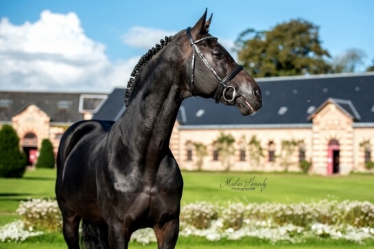 2020 : LES DERNIERES ACTUALITES DE CONTENDRO