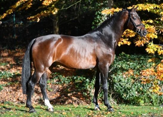 2020 : LES DERNIERES ACTUALITES DE CONTHARGOS