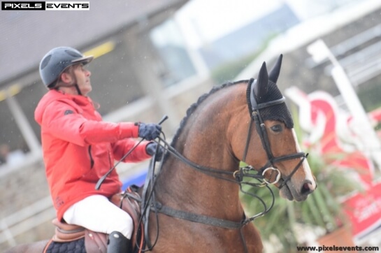2020 : LES DERNIERES ACTUALITES D'EDEN DU ROUET