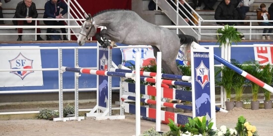 BIENVENUE A HOKKAIDO