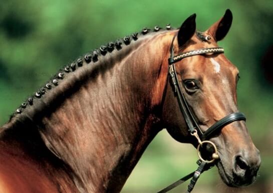 2020 : LES DERNIERES ACTUALITES DE LANDOR S