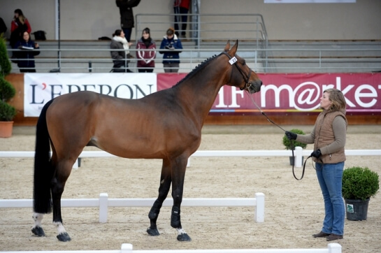 2020 : LES DERNIERES ACTUALITES DE PEZETAS DU ROUET