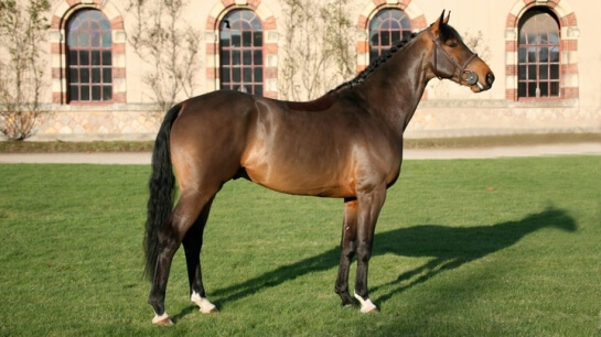 2020 : LES DERNIERES ACTUALITES DE QUARTZ DU CHANU