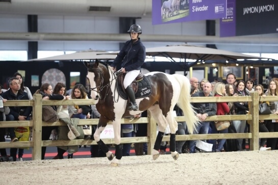2020 : LES DERNIERES ACTUALITES DE TROUBADOUR D'AUREL