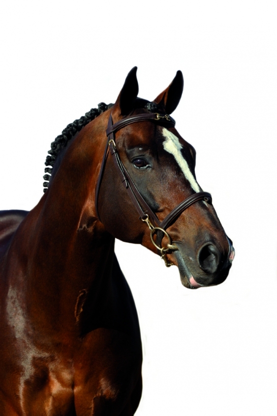 Ugano, Orlando et Diarado au tableau d'honneur ! 