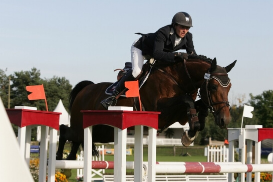 Troubadour et Popstar, les premières recrues du...