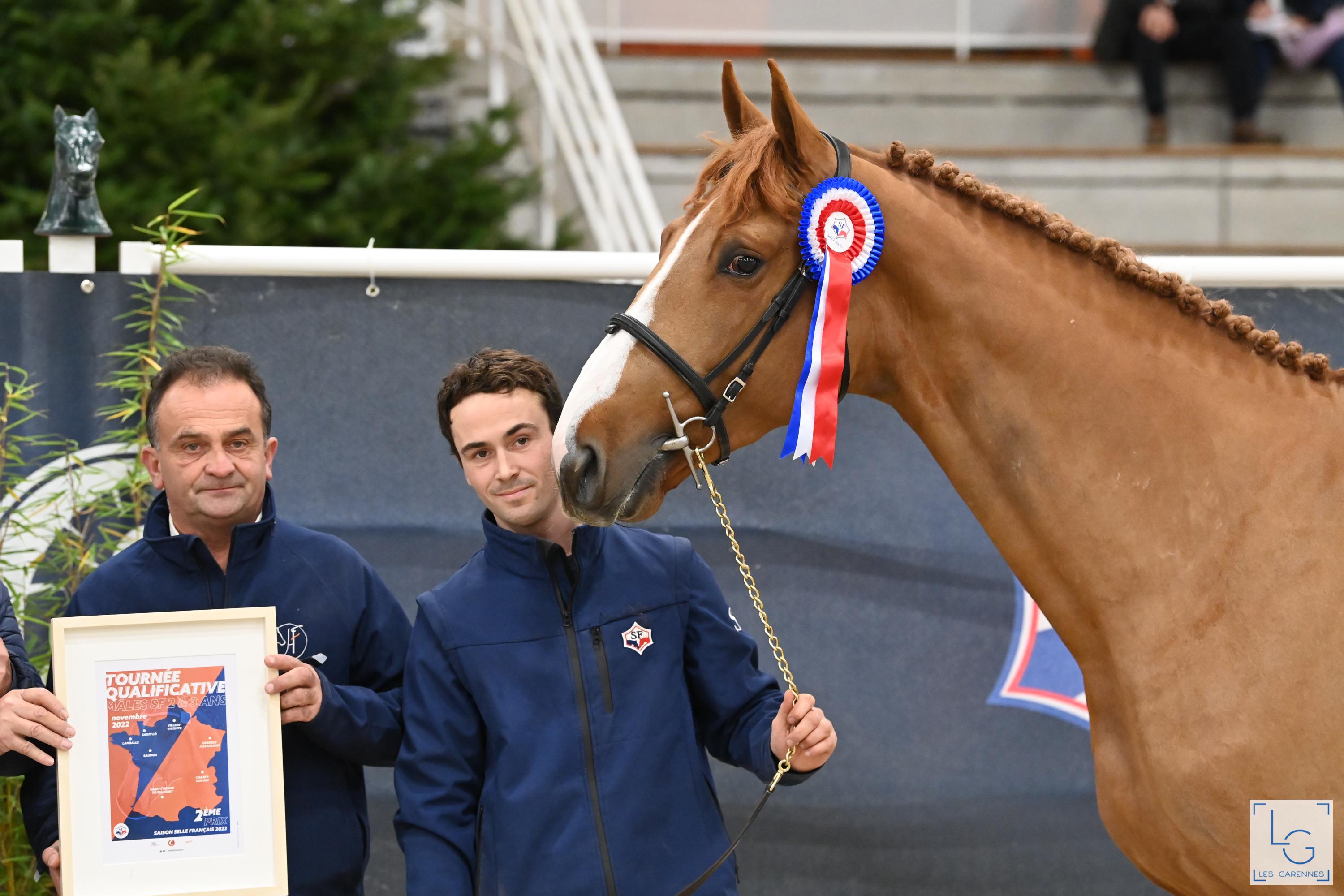 Groupe France Élevage - UNTOUCHABLE OFFSPRING ARE SHINING - News