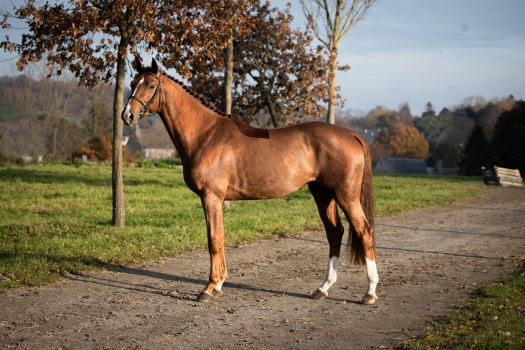 JAGGER DE MARIGNY