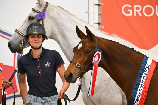 Noisette de Brion (JILBERT VT RUYTERSHOF)