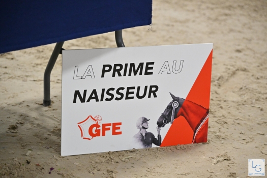 Izalia Mouche (CANDY DE NANTUEL)