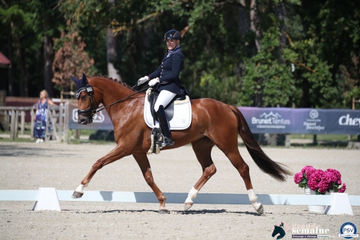 Oreval de la Botte (SUSPENS FLOREVAL) né chez Philippe Lemaitre
