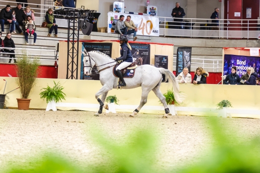 EXCALIBUR DELA TOUR VIDAL