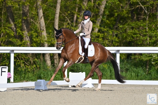 Furstin Toto par FURST TOTO