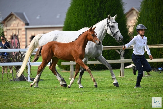 Platine de Bel Vic (CASAGO)