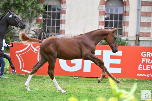 Par'Amour du Moment (UNTOUCHABLE)