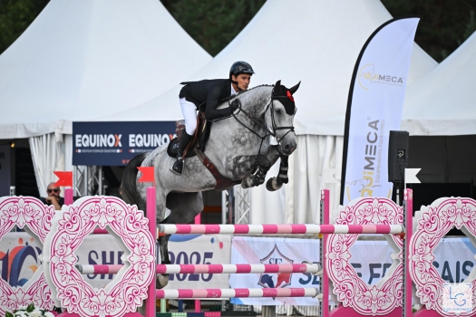 Irish Canel (CONTENDRO)