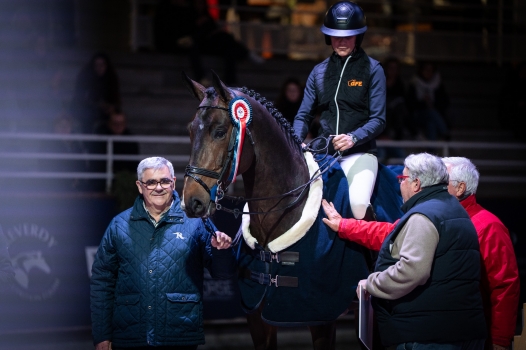 LA TOUR DU ROUET*GFE