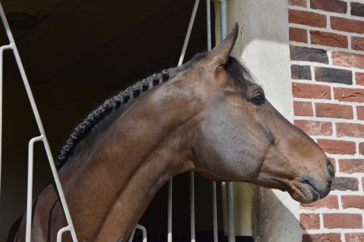 JILBERT VT RUYTERSHOF