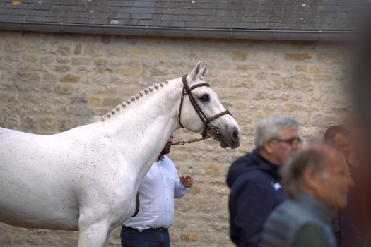 Scuderia 1918 CASAGO