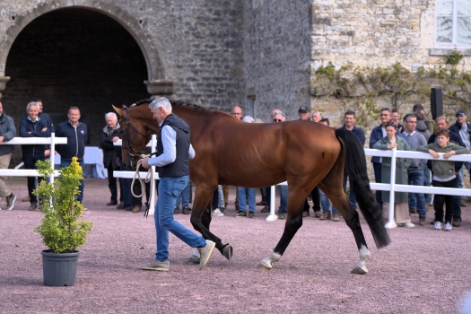 DON'T TOUCH TIJI HERO