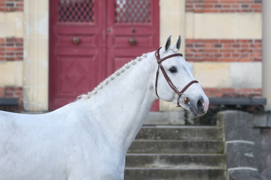 SCUDERIA 1918 CASAGO
					