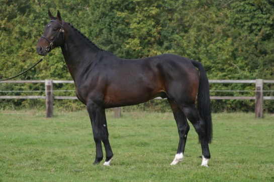 QUOOL DU BOIS MARGOT
					