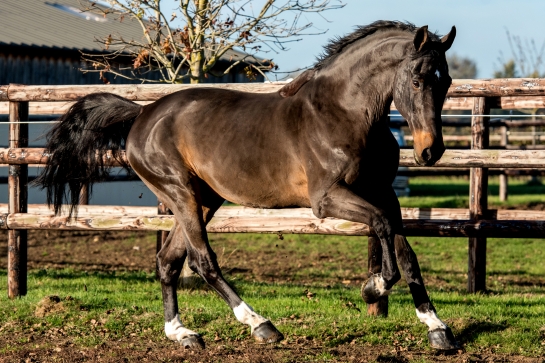 2020 : LAST NEWS OF KANNAN