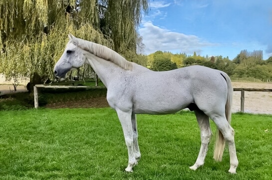 NARTAGO intègre le catalogue du GFE