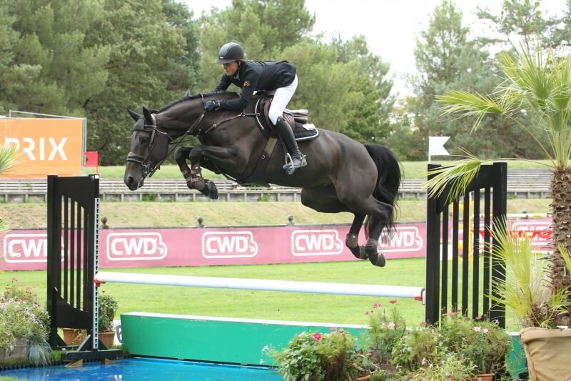 KANNAN MEILLEUR PÈRE DE JEUNES CHEVAUX À L'INTERNATIONAL