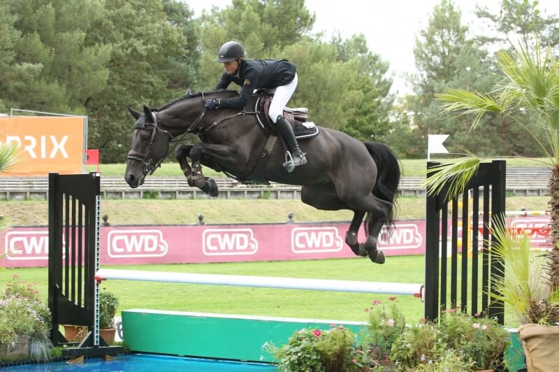 KANNAN BEST SIRE OF YOUNG HORSES IN 2020