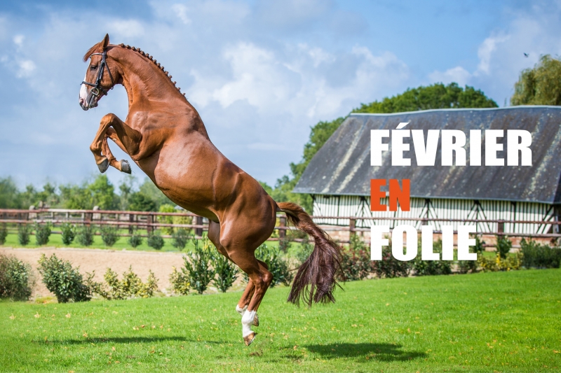 FEVRIER EN FOLIE