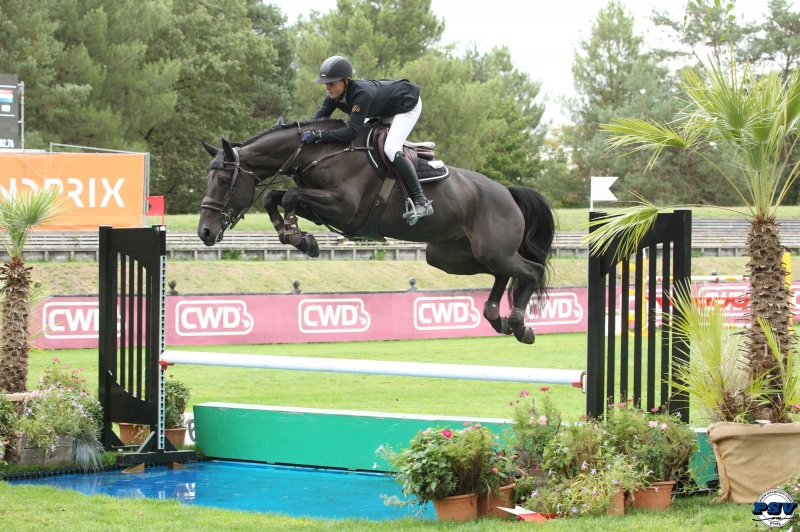 KANNAN MEJOR PADRE DE CABALLOS JÓVENES EN 2020