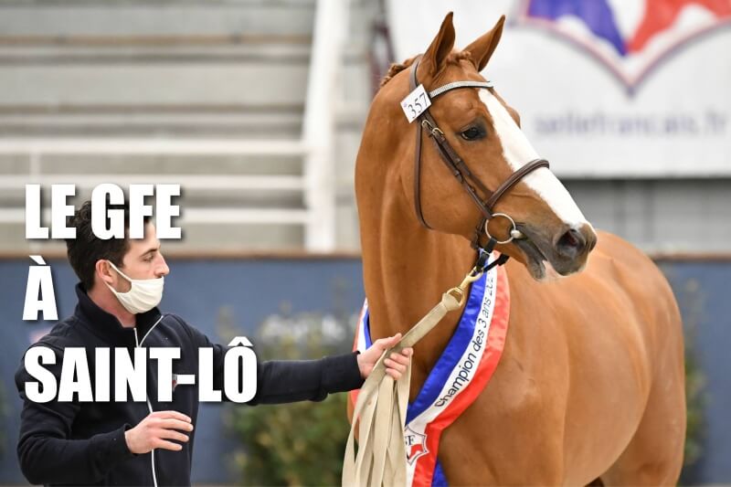 LE GFE AU CHAMPIONNAT DES 3 ANS