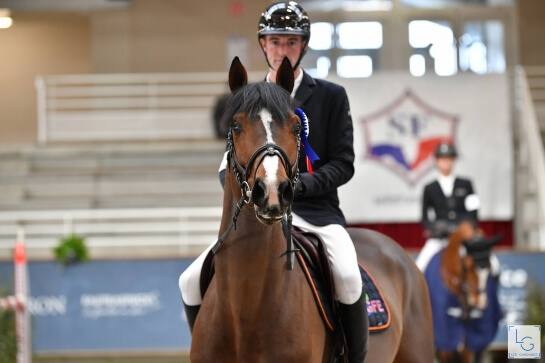 MASTERS DES ÉTALONS À ST LÔ