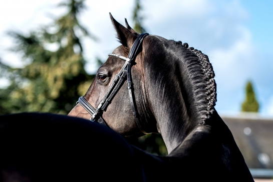 LES ACTUS DU 18 AU 22 FEVRIER