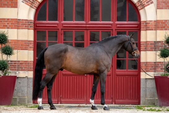 2021 : LAST NEWS OF BISQUET BALOU