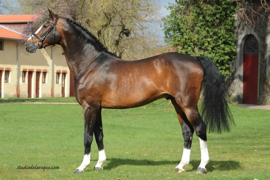 LES ACTUALITES DE BALOU DU ROUET