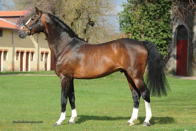 LES ACTUALITES DE BALOU DU ROUET