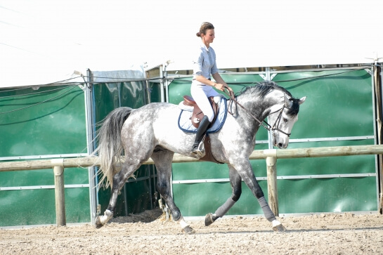 2021 : LAST NEWS OF NARTAGO