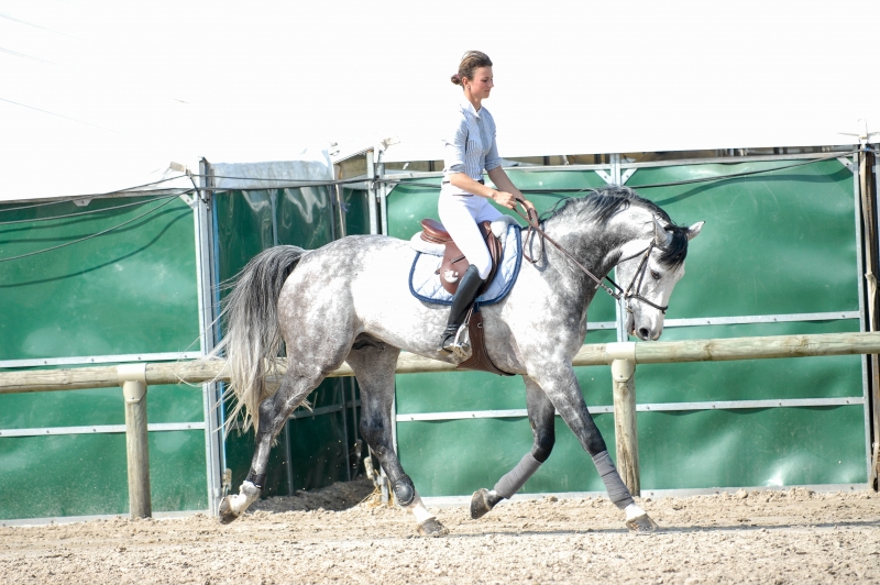 2021 : LAST NEWS OF NARTAGO