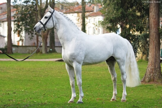 2021 : LES ACTUALITES DE PRESIDENT