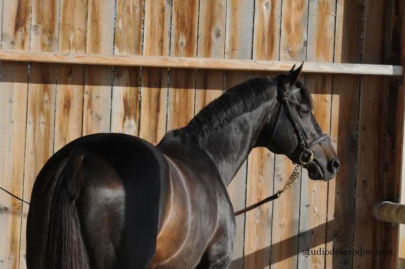 2021 : LAST NEWS OF VLEUT