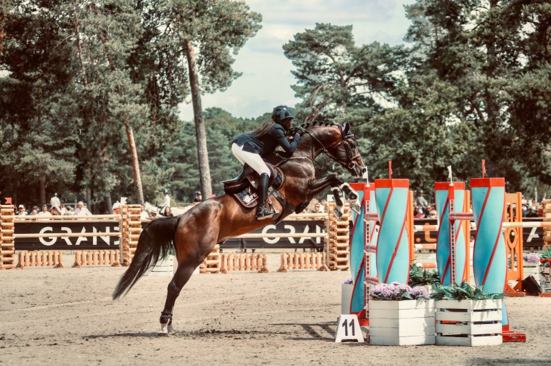 LES ACTUALITES DE CONSUL DL VIE Z