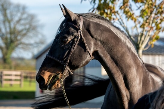 2021 : LAST NEWS OF KANNAN