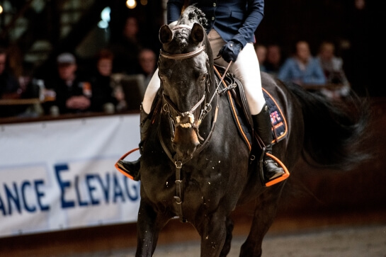 2021 : LAST NEWS OF NINTENDER