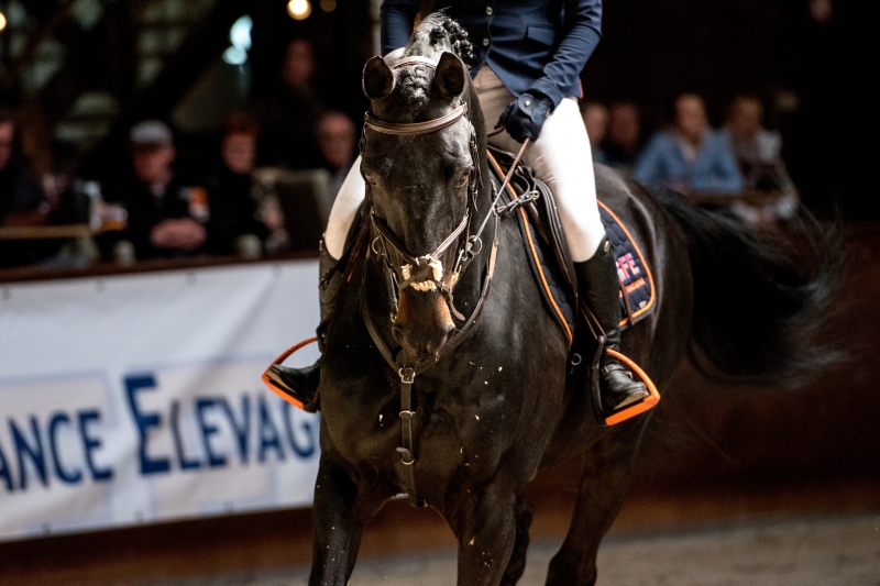 LES ACTUALITES DE NINTENDER