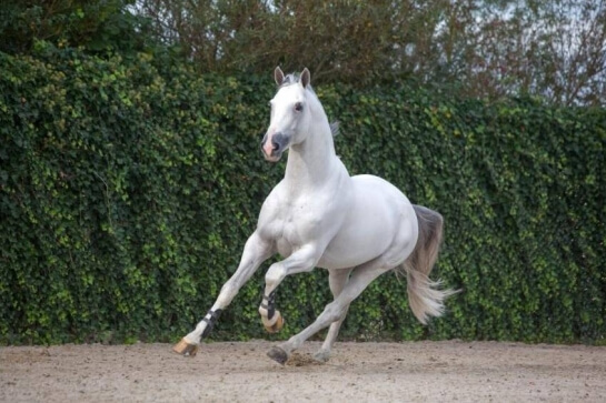 2021 : LES ACTUALITES DE ZIROCCO BLUE