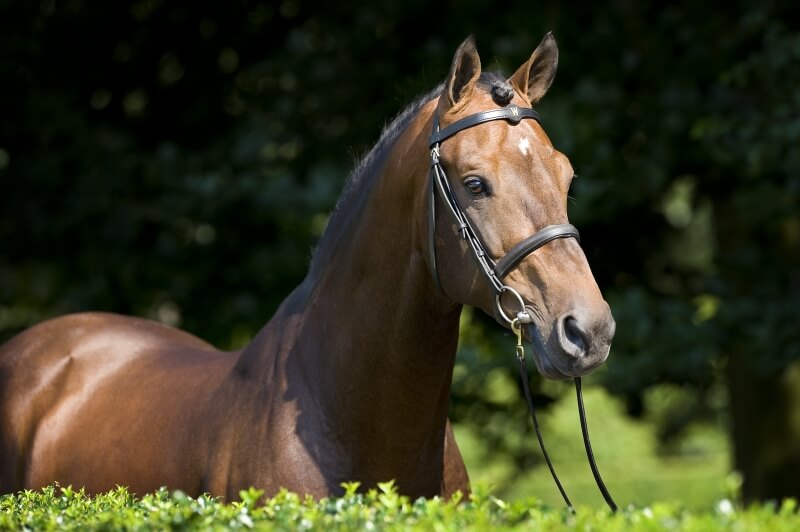 LES ACTUALITES DE NUMERO UNO