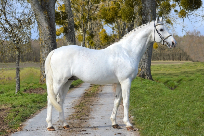 LES ACTUALITES DE DIABEAU