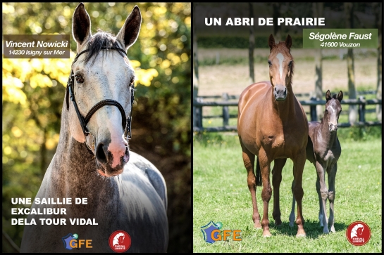 RESULTAT DU JEU CONCOURS GFE - CHEVAL LIBERTÉ